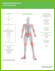 Graphic icon with text and outline of human body